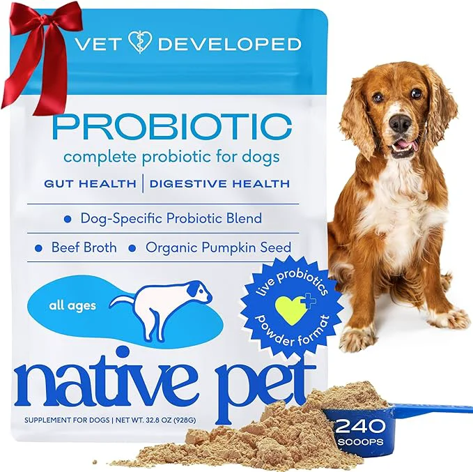 Modern Native Pet Probiotics for Dogs - Dog Probiotics Powder for Digestive Health Gut Support Immune Boost – Vet-Formulated Powder for Maximum Potency with Digestive Enzymes Prebiotics - 240 ScoopsAbout This Artisan