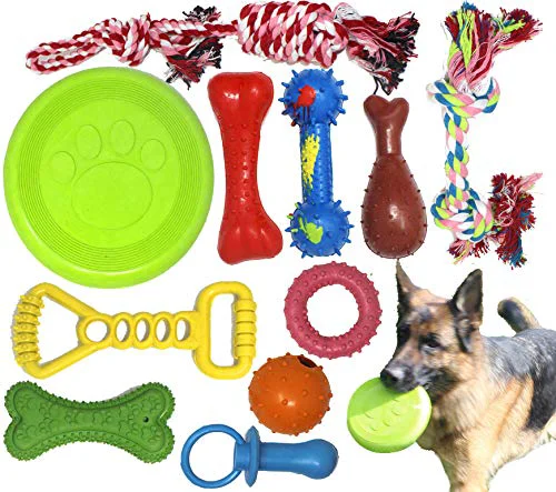 Premium Material Jalousie Chew Toy Set – Natural Rubber Interactive Toys for Small to Medium Dogs Smart