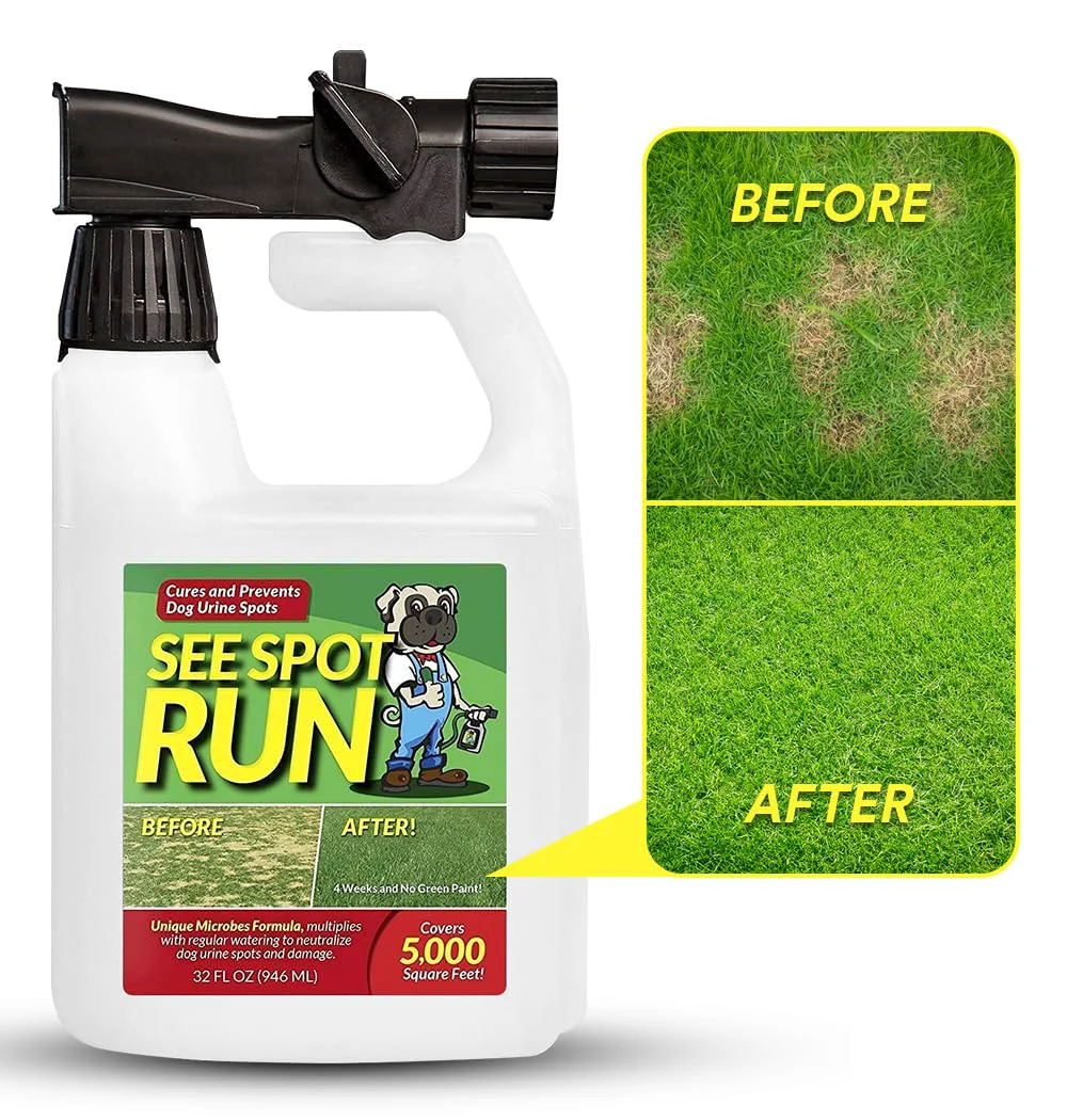 Contemporary See Spot Run Lawn Protection Concentrate – 32 oz Covers 5 000 sq ft Pet Safe Elite