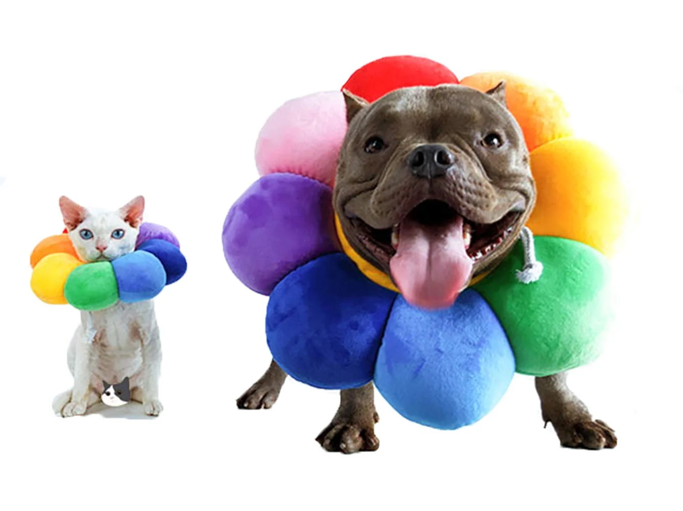 Trendy ccypet Pet Adjustable Recovery Collar — Soft-Edge Protective Cone for Pets Reliable