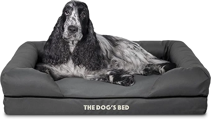 Consistent The Dog s Bed Medium Oxford Grey Memory Foam Pain Relief Arthritis Hip Elbow Dysplasia Post Surgery Lameness Supportive Calming Waterproof Washable CoverAbout ThisOverview Fast