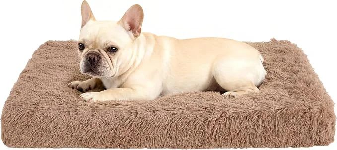 World-Class Fluffy Orthopedic Dog Beds for Small Dogs Specialty