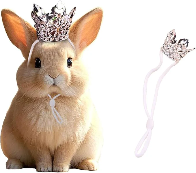 High-Performance 1PCS Crown Tiara Headband for Cat Dogs Puppy Birds Ducks Chicken Rabbit Hamster Premium Material
