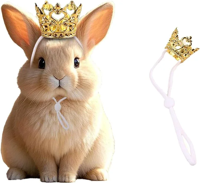 Excellent 1PCS Crown Tiara Headband for Cat Dogs Puppy Birds Ducks Chicken Rabbit Hamster First-Class