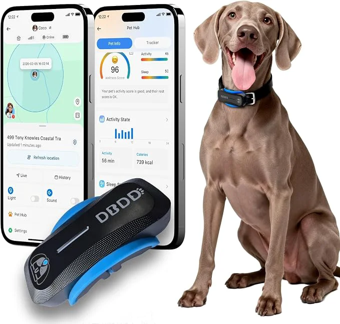 Exclusive AI GPS Tracker for Dogs Time Location and AI Vet Health Management Authentic