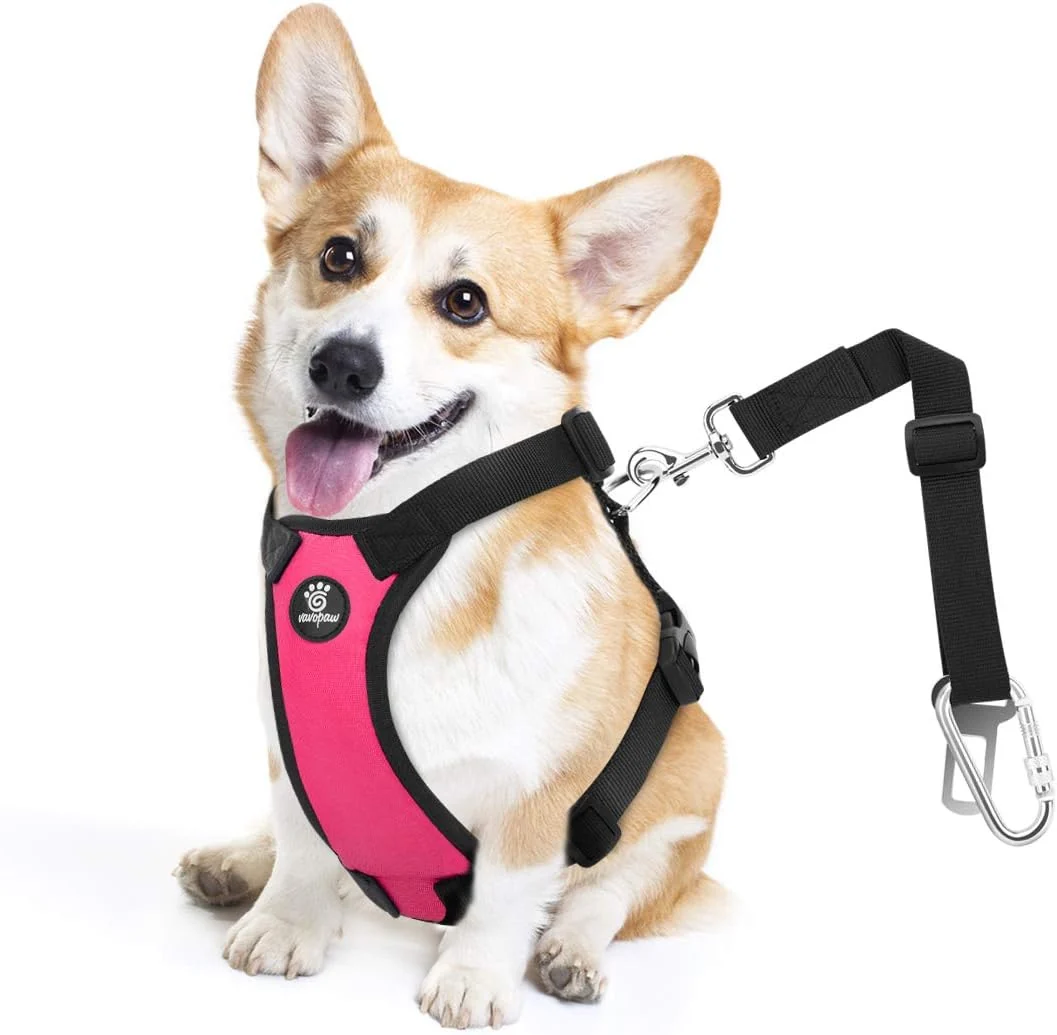 Durable Dog Seat Belt Safety Vest Dog Car Harness with Adjustable Buckle Dog Seat Belt for Vehicle Nylon Pet Safety Seat Belts Heavy Duty M Magenta Fashionable