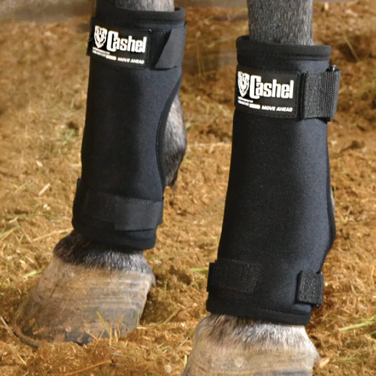 Carefully Designed Cashel Stall Sore Boots Protective Foreleg Boots for Bruising Sores Solid
