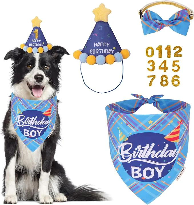 Pure ADOGGYGO Dog Birthday Party Supplies Party Hat Verified
