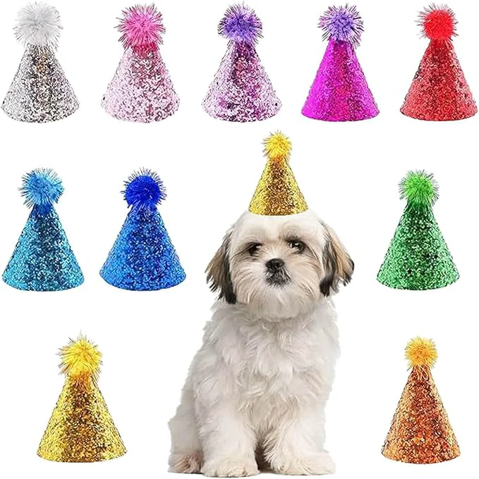 Next-Generation 10 Pcs Dog Birthday Hat Set for Small Medium Dogs Cat Puppies Mini Party Hat Top-Quality