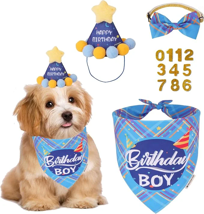 Luxury ADOGGYGO Dog Birthday Party Supplies Party Hat Quality