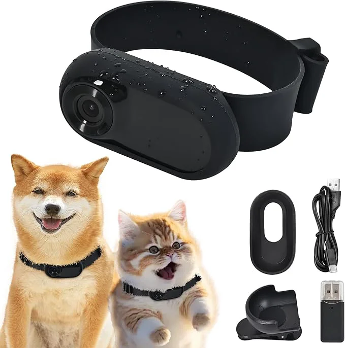 Casual 1080p HD Cat Dog Pet Camera Collar with Video Recording Sports Camera Baby Monitor No WiFi Indoor Outdoor All Activities Pet Supplies and Monitors Gift Birthday Gift BlackAbout ThisOverview Healthy