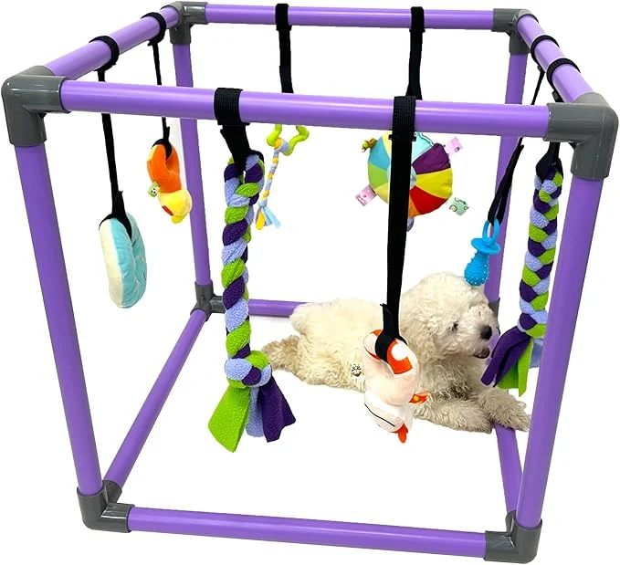 Fine Crafted Puppy Play Gym for Small Dogs with 8 Hanging Toys Jungle Playground with Interactive Funny Enrichment Toys to Keep Them BusyAbout This Healthy