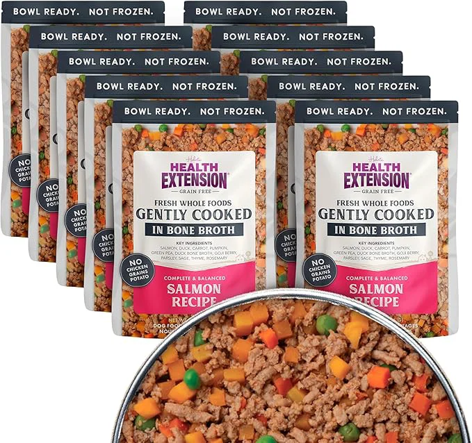 Artisan Health Extension Gently Cooked Grain- Salmon Dog Food Human-Grade Shelf-Stable with Superfoods Supports Digestion Immunity Skin Coat 9 oz Pouch Pack of 10 About This Quality