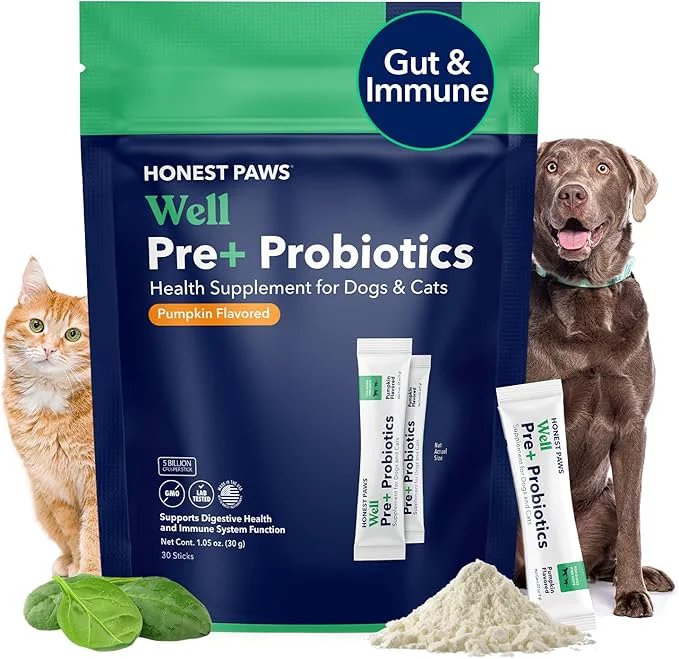 Minimalist Honest Paws Probiotics for Dogs - Dog Digestion Gut Health Probiotic Powder with Prebiotic Made in The USA Digestive and Immune Support - Digestive Enzymes with Pumpkin Flavor 30 Sticks About This Premium Material