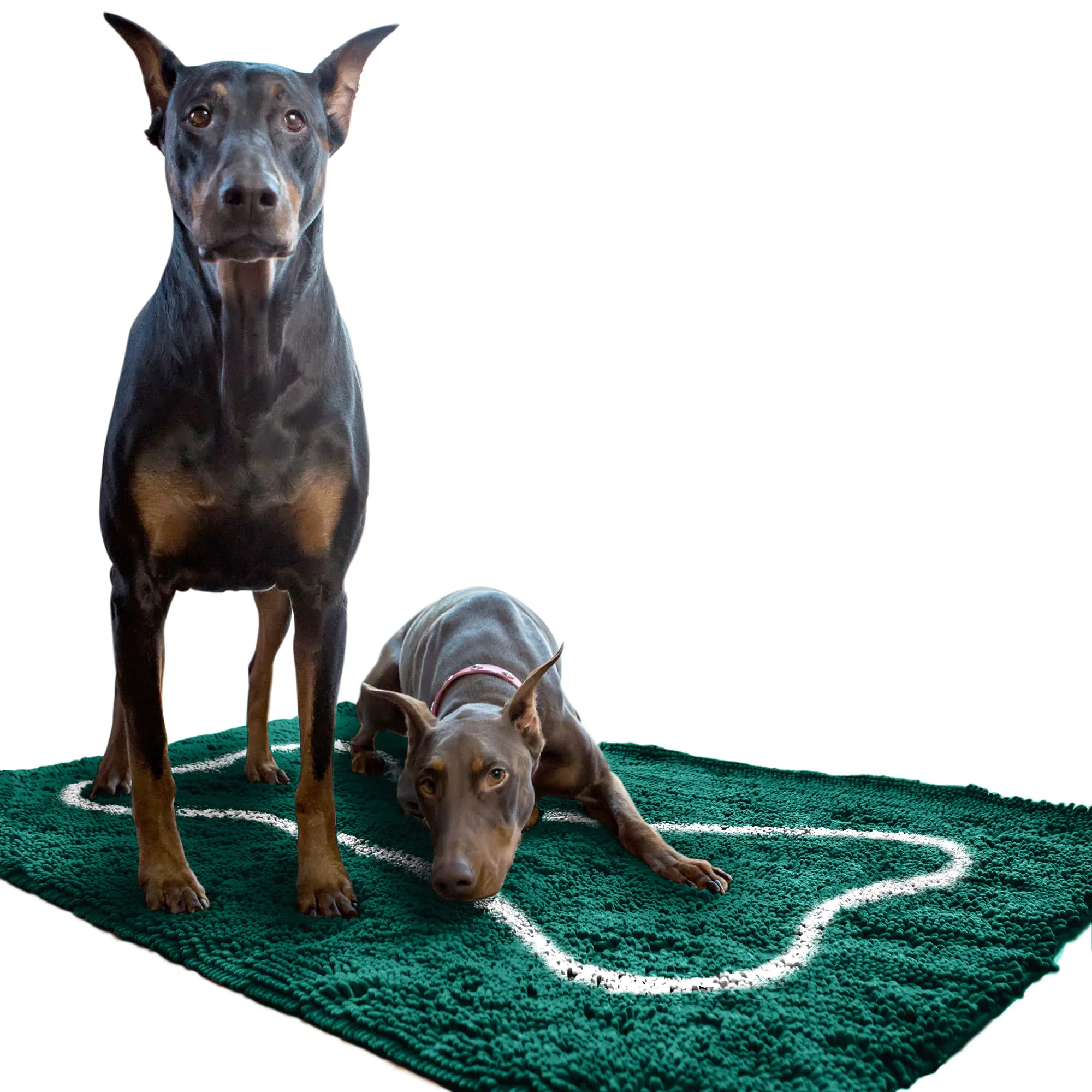 Specialty Soggy Doggy Doormat with Bone Design – Ultra-Absorbent Microfiber Chenille Mat 36x60 Non-Slip Machine Washable Soft