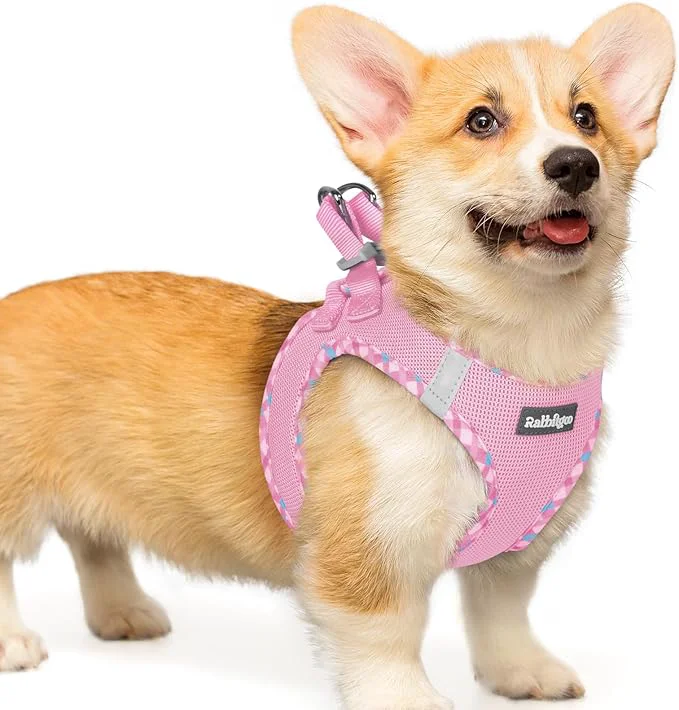 Fast rabbitgoo Small Dog Harness Step-in Soft Mesh Puppy Vest with Safety Buckle Breathable Reflective Pet Harness for Small Medium Dogs Pink Plaid Trim LAbout ThisOverview Crafted