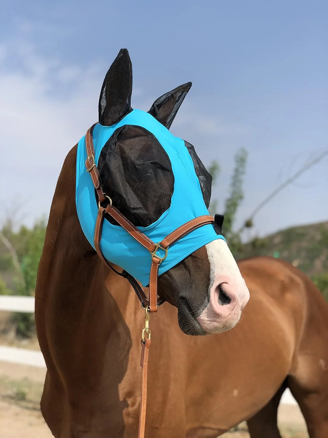 Artisan Horse Fly Mask Super Comfort Horse Fly Mask Elasticity Fly Mask with Ears We Only Make Products That Horses Like… Pacific Blue M Detailed