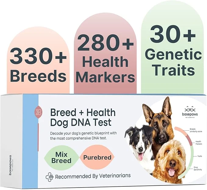 Durable Basepaws Dog DNA Testing Kit - 330 Breeds 280 Health Risks and 30 Traits - Comprehensive Mixed Breed Identification Pet DNA Test kit Canine Genetic Ancestry and HeritageAbout This Reusable