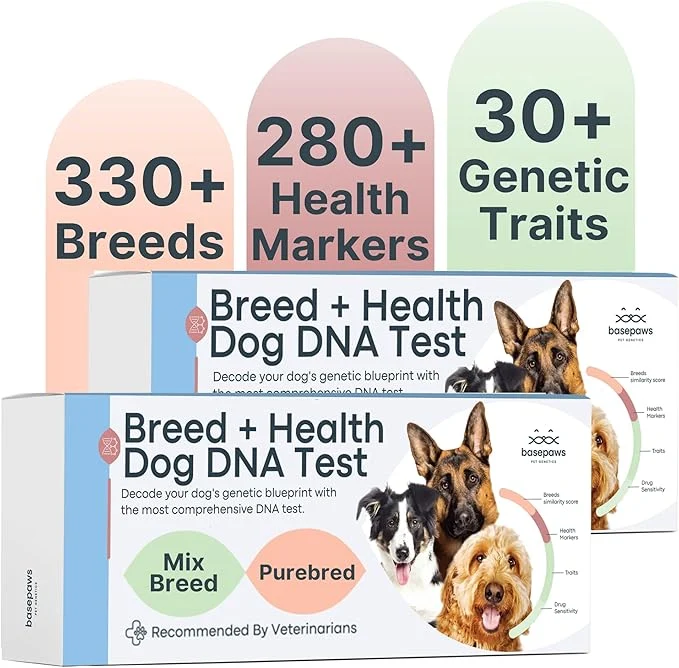 Proven Basepaws Dog DNA Test Kit 2 Pack - 330 Breeds 280 Health Risks and 30 Traits - Comprehensive Mixed Breed Identification Pet DNA Test kit Canine Genetic Ancestry and HeritageAbout This Next-Generation