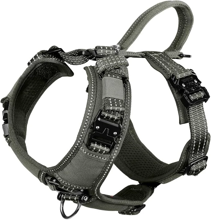 Smart ICEFANG Dog Strap Harness with All-Metal Hardware for Small Sized Dog K9 Vest Y-Shape Soft Padding Adjustable Pet Harness No-Pull Front Leash Clip Small Pack of 1 Green About ThisOverview Solid