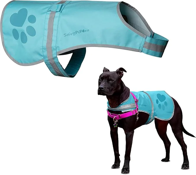 High-End SafetyPUP XD Dog Reflective Vest – Hi-Vis Fluorescent Visibility That Helps to Safeguard Your Pet On Off Leash in Urban Rural Areas Teal Large About ThisOverview Durable