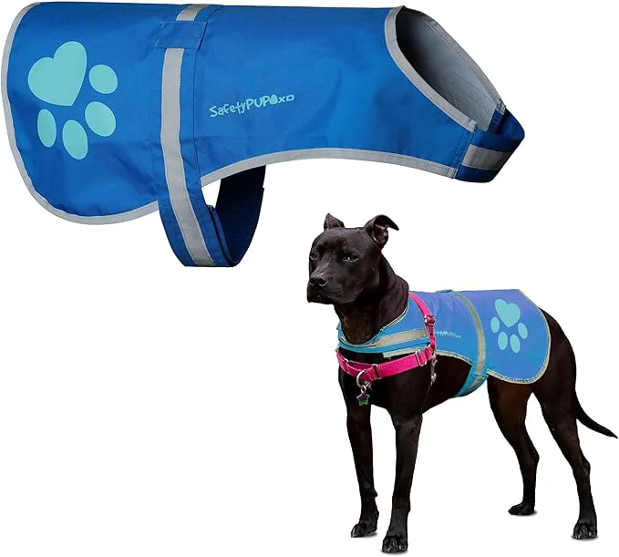 Consistent SafetyPUP XD Dog Reflective Vest – Hi-Vis Fluorescent Visibility That Helps to Safeguard Your Pet On Off Leash in Urban Rural Areas Blue Small About ThisOverview Powerful