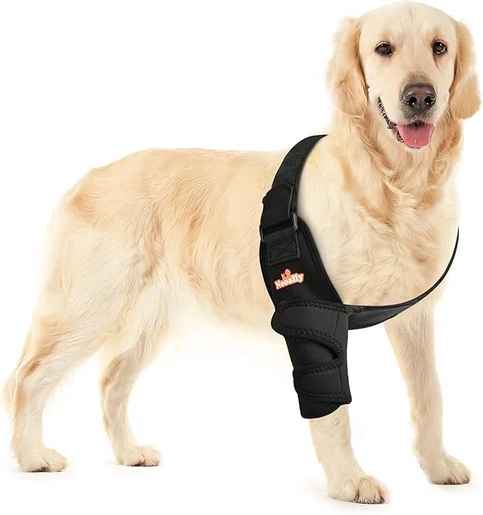 Detailed NeoAlly Breathable Dog Elbow Brace Protector for Canine Elbow and Shoulder Support Elbow Hygroma Dysplasia Osteoarthritis Elbow Calluses Pressure Sores and Shoulder Dislocation Right X-Large About ThisOverview Trendy