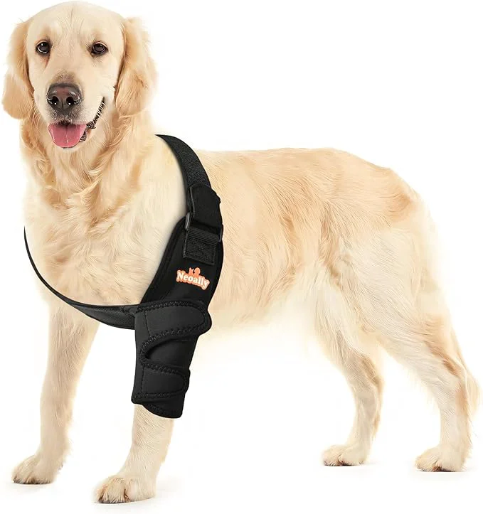 Elegant Neoally Breathable Dog Elbow Brace Protector Pads for Canine Elbow and Shoulder Support Elbow Hygroma Dysplasia Osteoarthritis Elbow Calluses Pressure Sores and Shoulder Dislocation Left X-Large About ThisOverview Elite