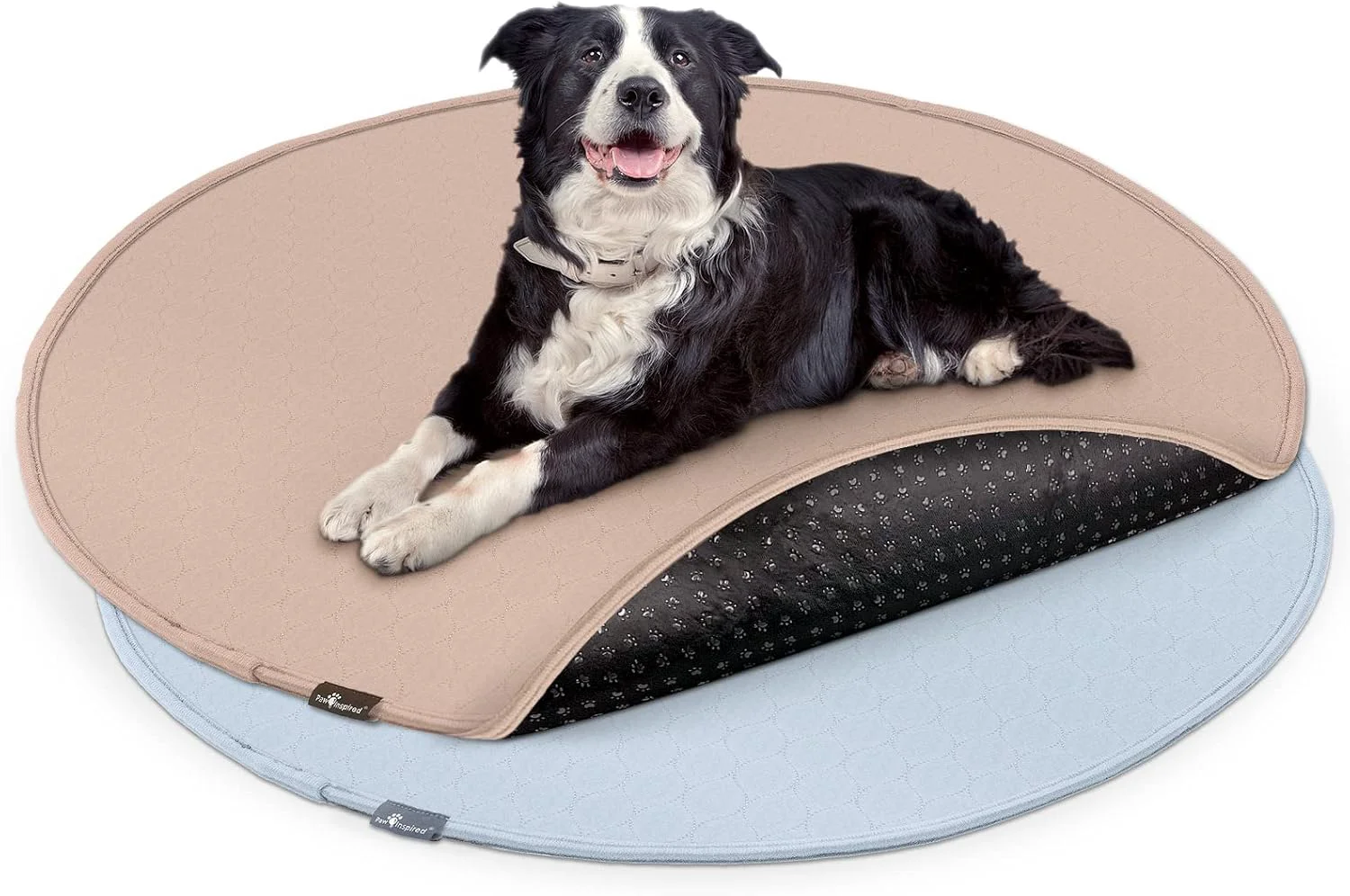 Certified Paw Inspired Round Washable Pee Pads for Dogs 2 Pack Reusable Puppy Pads for Potty Training Whelping Waterproof Mat Leakproof Non-Slip Liners 48 Inch Pack of 2 Fine Crafted