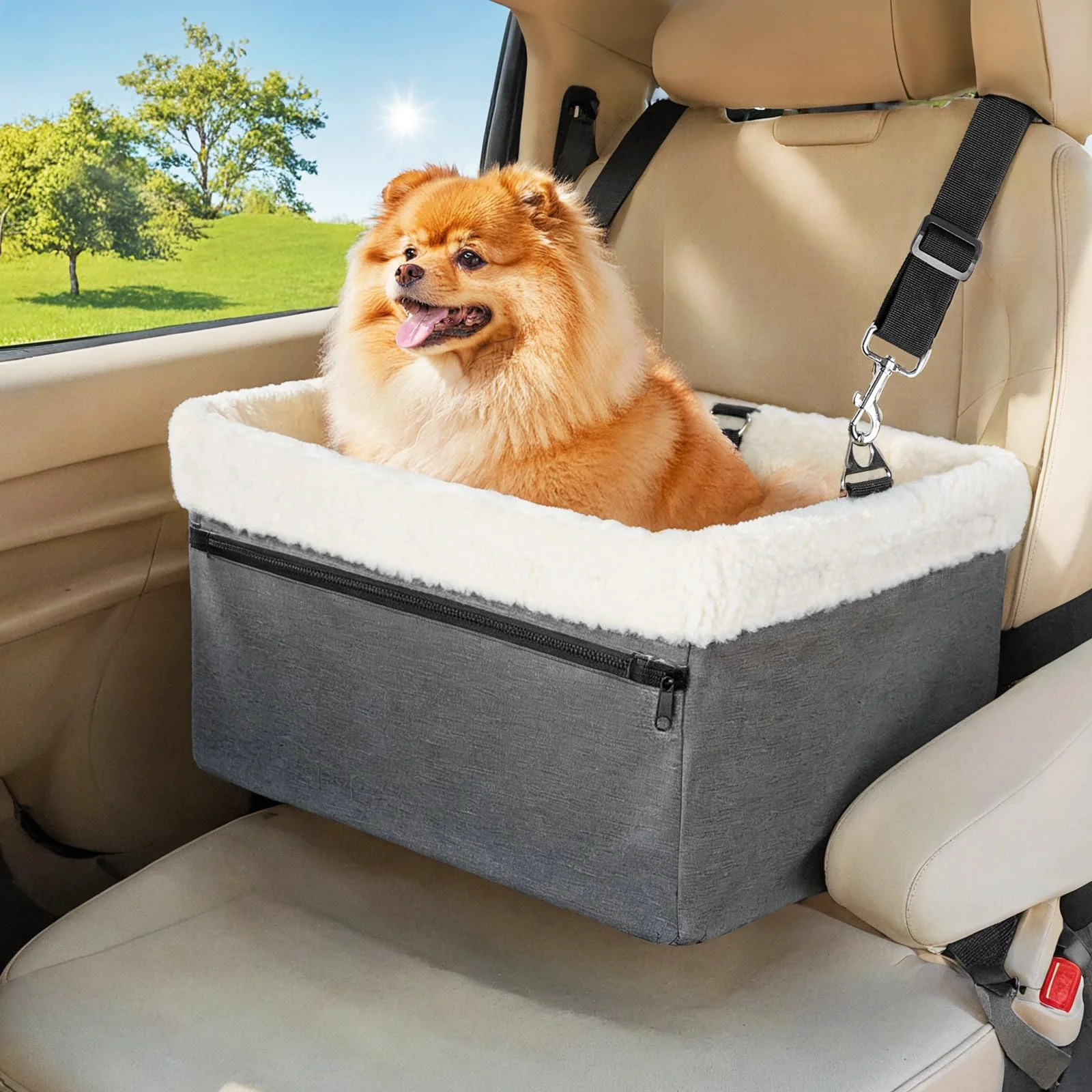 Elegant UNICITII Dog Car Booster Seat for Small Dogs Cats — Raised Metal Frame Organic