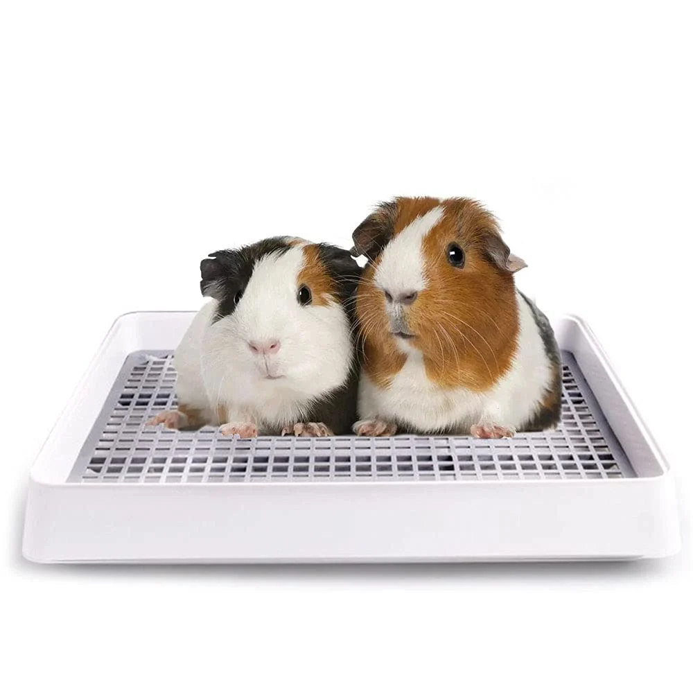 Trusted Oncpcare 15x12 Guinea Pig Litter Box with Grid — Small Animal Litter Tray for Cage Potty Training Classic