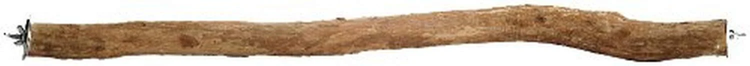 Trendy Polly's Full Length Hardwood Bird Perch 30-Inch Brown Specialty