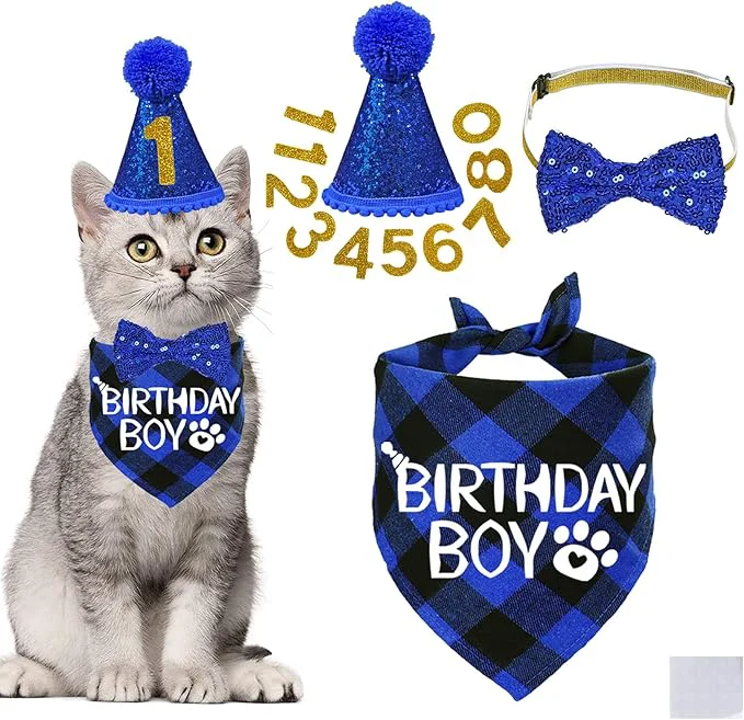 Green STMK Cat Birthday Decorations Cat Birthday Hat Powerful