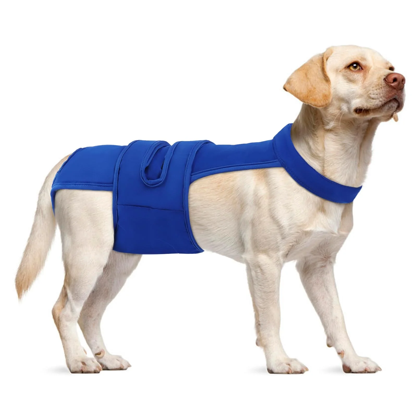 Genuine LeleTail Reusable Female Dog Diapers with Suspender – Adjustable Fit Incontinence Heat Cycle XS-XL Professional
