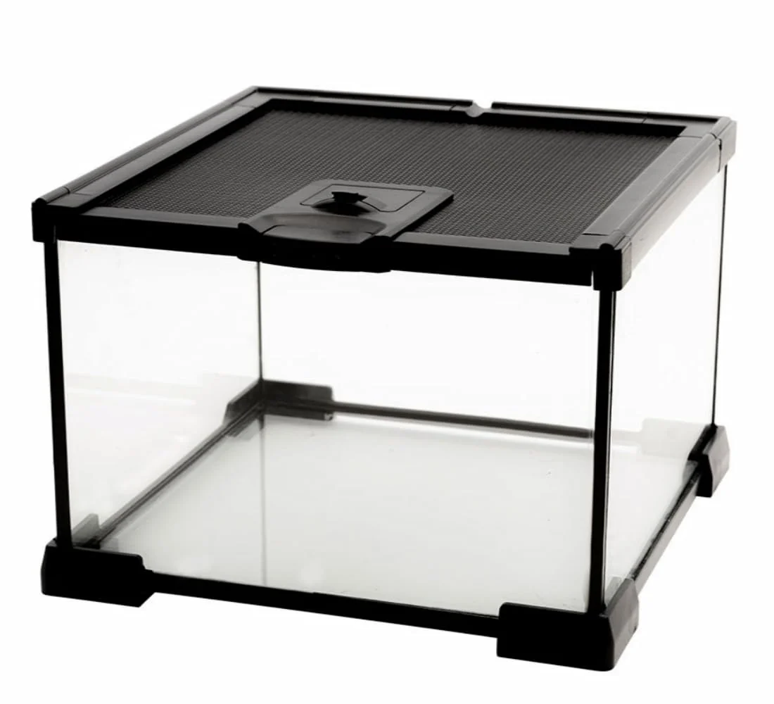 Top-Quality AWXZOM Mini Reptile Glass Terrarium Tank – 7.9 x 7.9 x 5.7in Top-Opening Anti-Escape Lock Powerful