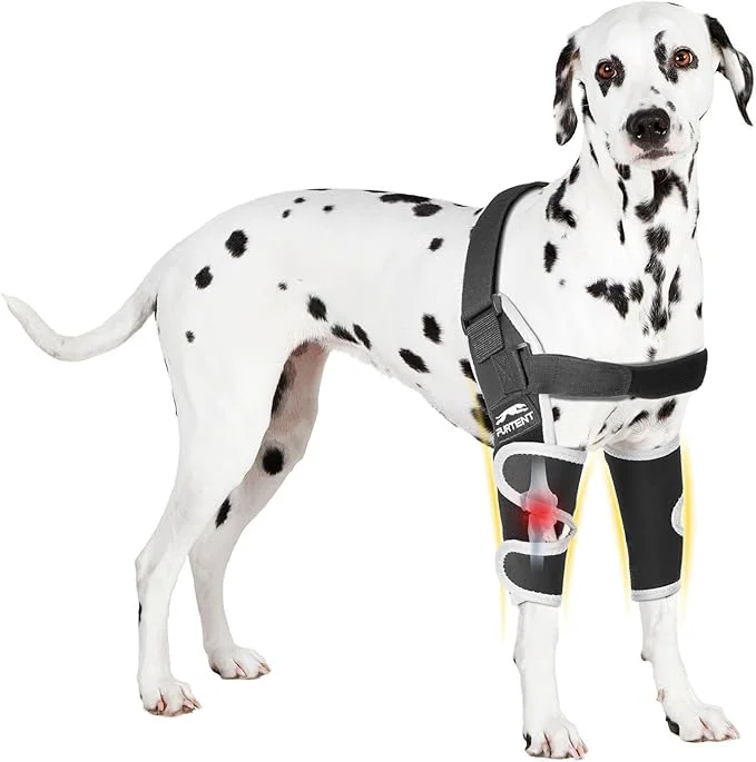 Luxury Dog Elbow Protector for Pets Elbow Dysplasia - Elbow Support Reflective Pet Recovery Suit Taper Collar Helps Wound Healing Prevents Licking XXLAbout This Selected