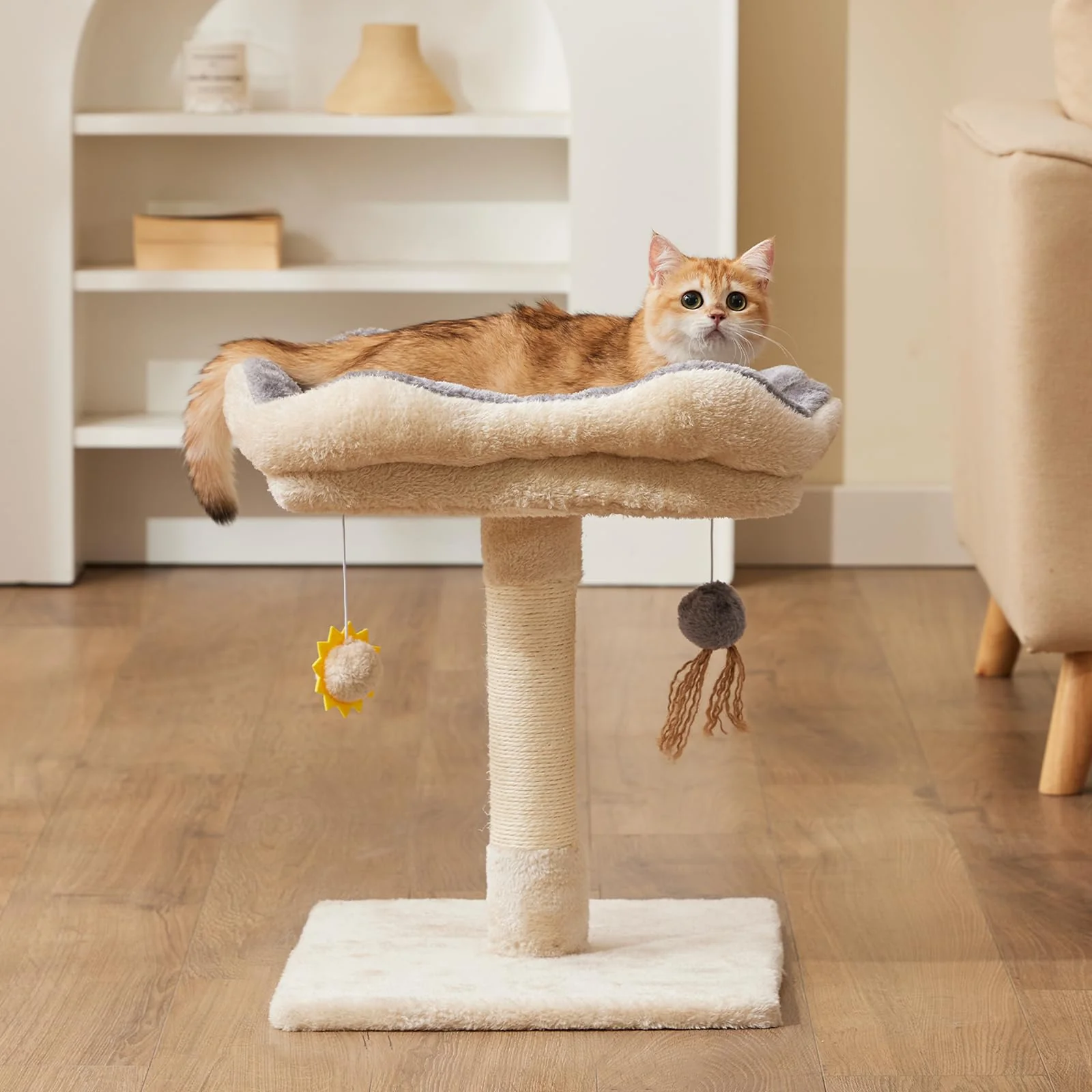 Casual Gardner Pet 20-inch Cat Tree — Solid Wood Removable Bed Sisal Scratching Beige Square Specialty