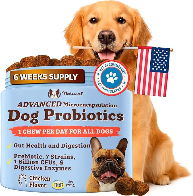 Specialty Natural Dog Company Gut Health Canine Specific Probiotics Chews 1 Daily Chew for All Dogs Prebiotics Digestive Enzymes for Digestion Gas Loose Stool Immune System Bowel SupportAbout This Easy-to-Use