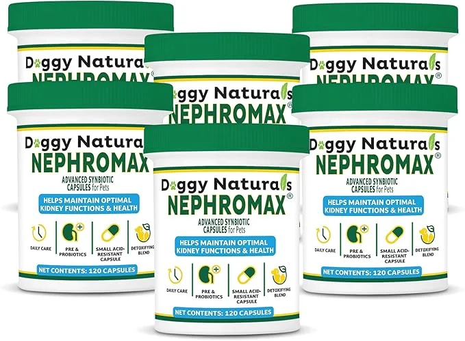 Long-Lasting NEPHROMAX™ Kidney Support Supplement Synbiotic 720 Caps About This Consistent