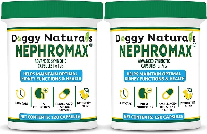Artisan NEPHROMAX™ Synbiotic Capsules Dogs Cats 240 Caps - Kidney Support Supplement for Cats Dogs Probiotics Prebiotics for Digestive Health Small Easy-to-Swallow Capsules Made in The USAAbout This High-End