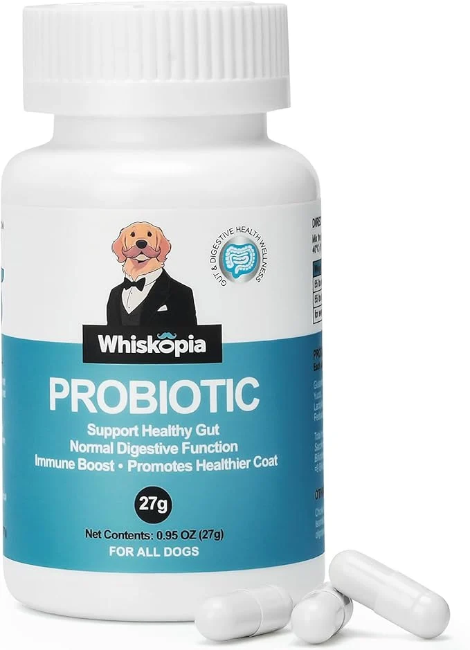 Green Probiotics for Dogs Dog Probiotics with Digestive Enzymes with and Prebiotics for Support Gut Digestion Health Immune Support Reduce Diarrhea 60 CapsulesAbout ThisOverview Clean