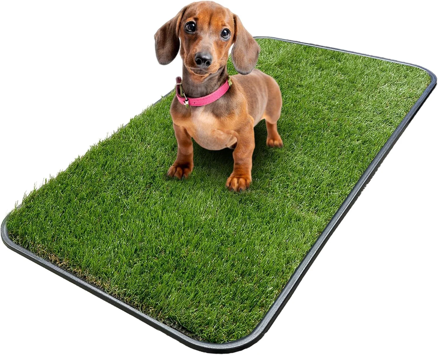 Breathable Ottomanson Artificial Grass Puppy Potty Training Pad with Tray 15 x 30 Reusable Pee Pad for Small Pets and Dogs Safe