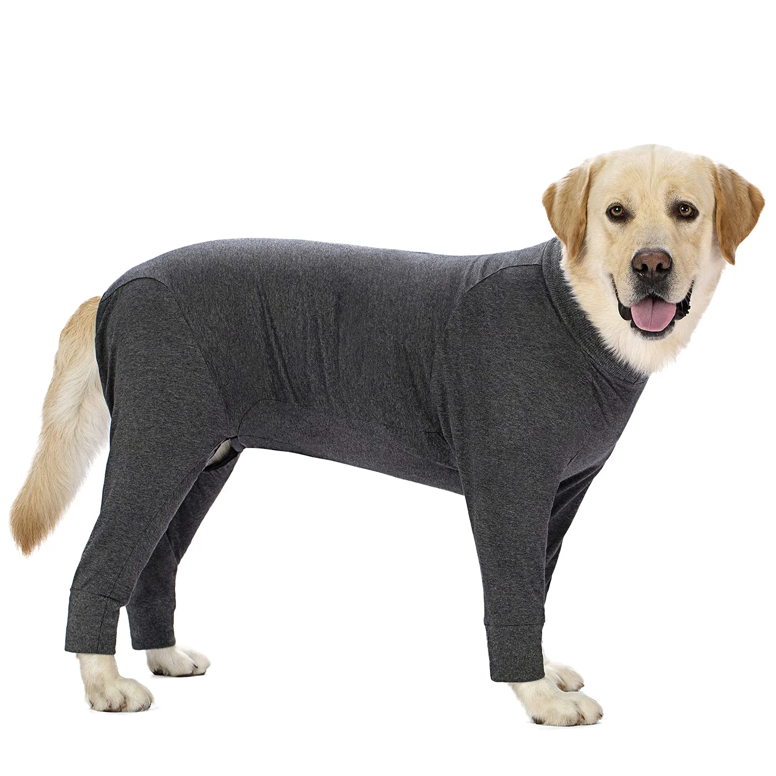 Responsible Miaododo Grey Dog Surgery Recovery Suit for Medium Large Dogs Lightweight Lick-Prevention Onesie Dependable