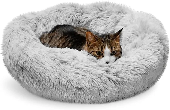 World-Class Whiskers Friends Cat Bed Cat Beds Optimized