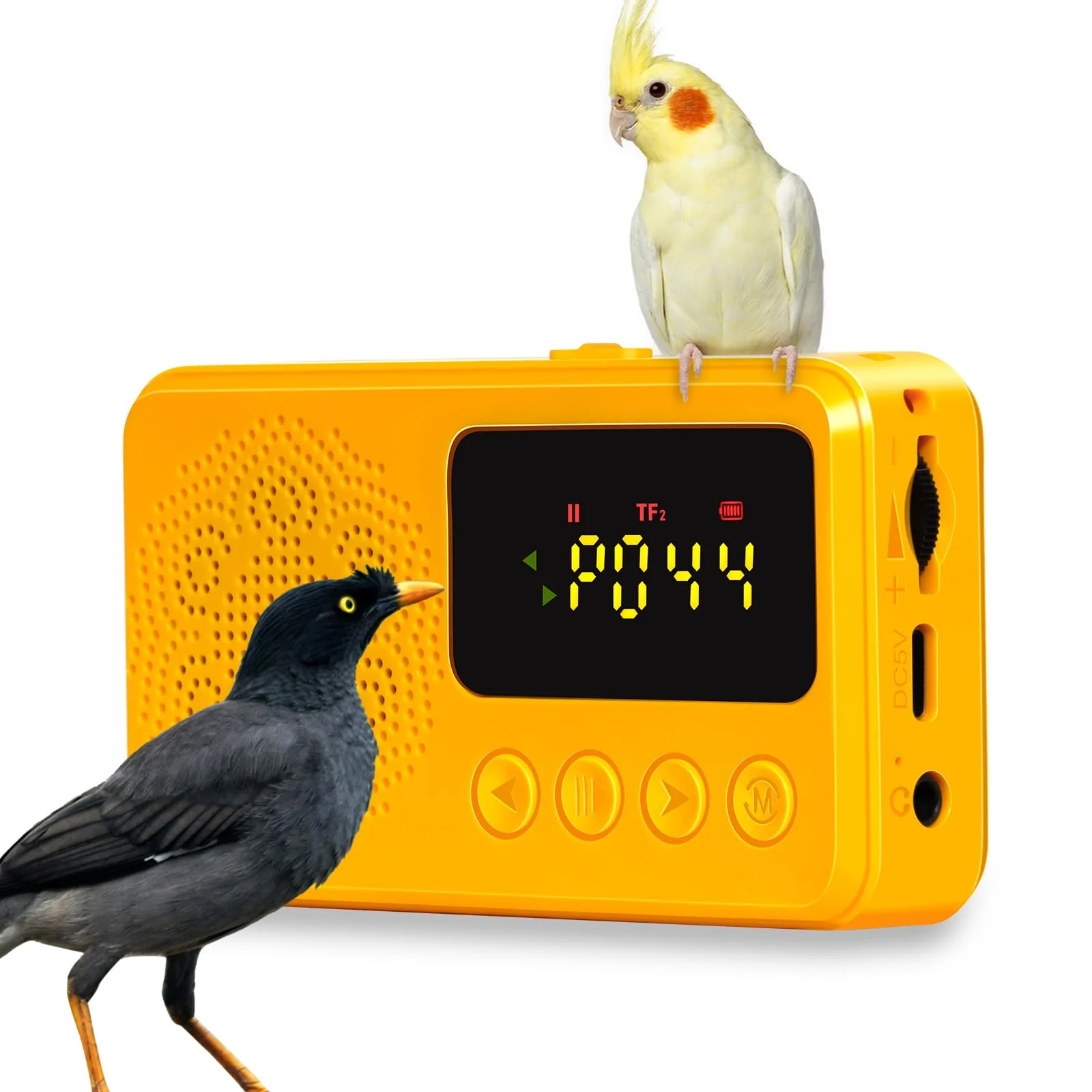 Convenient NASIDE Parrot Learning Machine — Teach Talking Whistling and Singing High-End