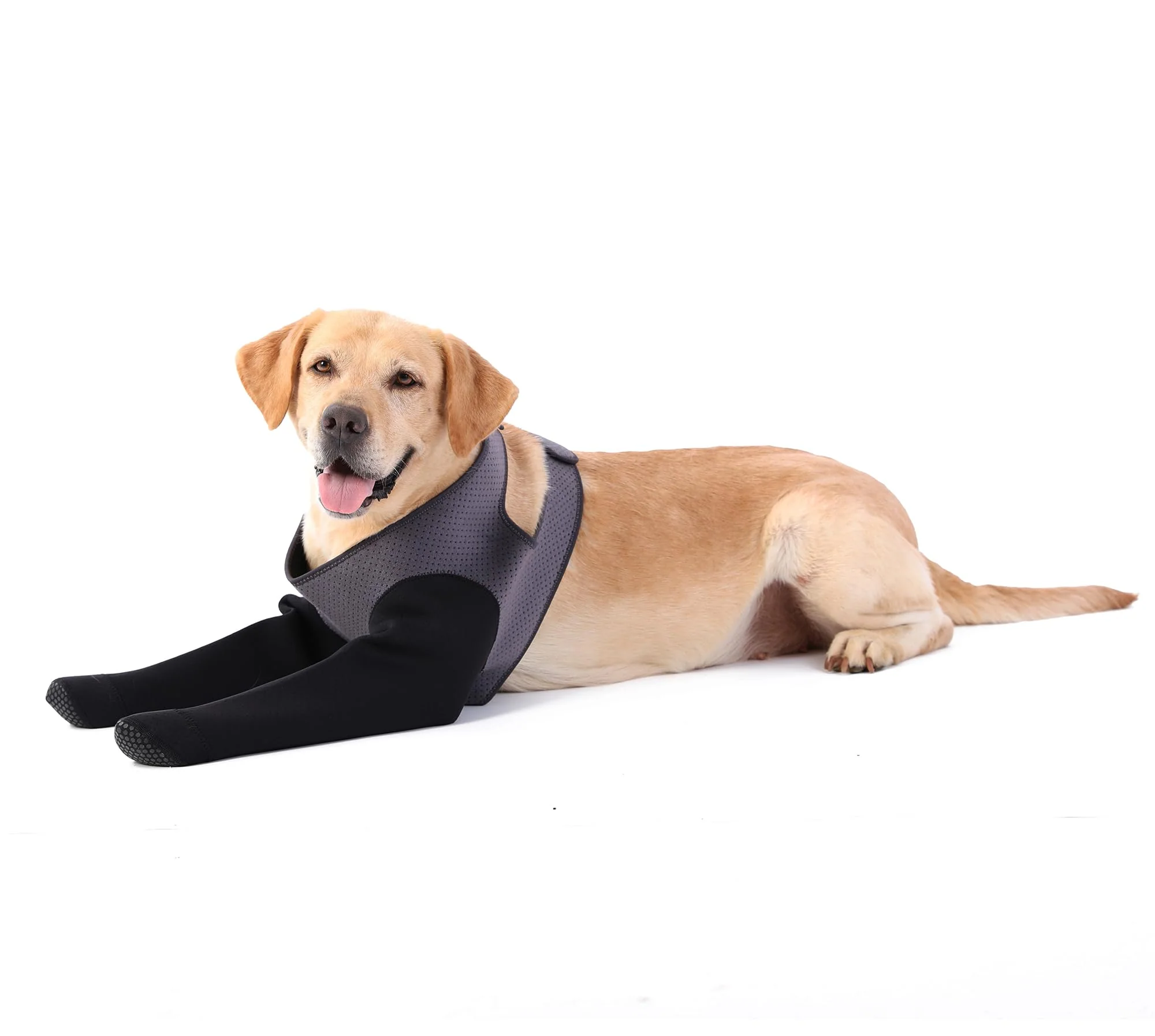 Smooth Grettytling Dog Socks for Licking-Paw Prevention Breathable Recovery Sleeve 2XL Gray Fine Crafted