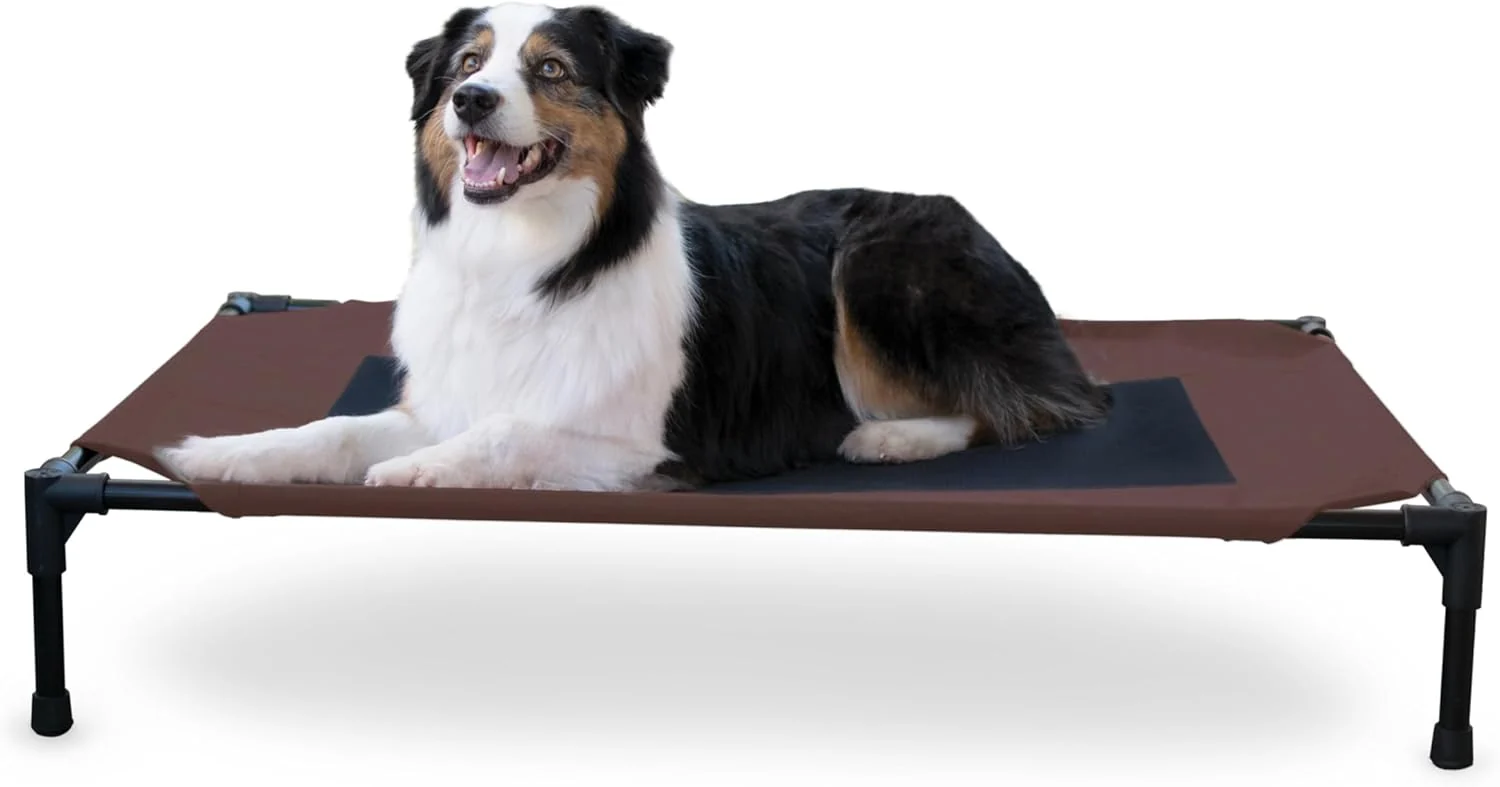 Quality K H Pet Products Outdoor d Dog Cot Breathable Cooling d Cot Hammock Pet Bed for Large Dogs Washable Mesh Cover Raised Metal Frame Collapsible Portable - Large 42 X 30in Chocolate Crafted