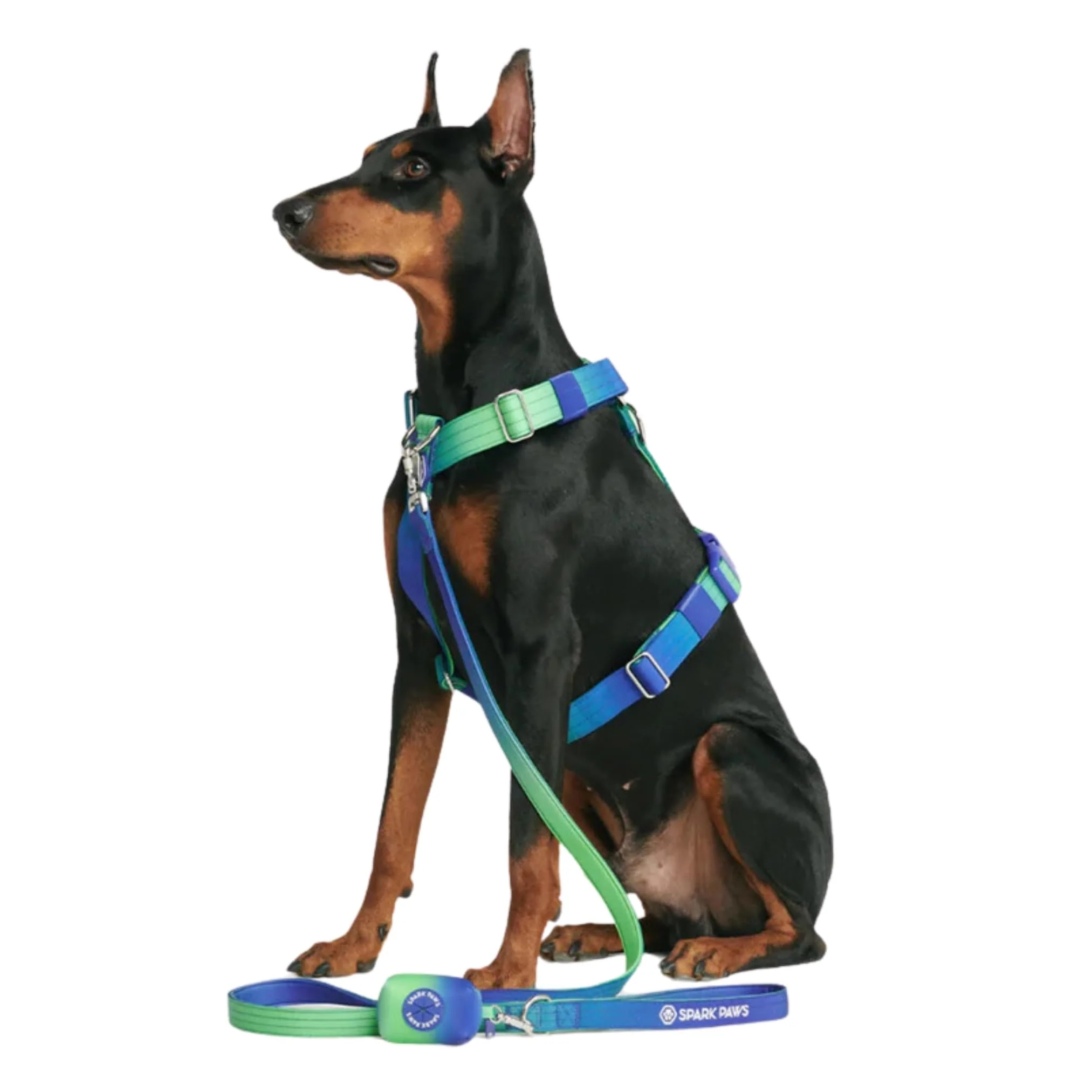 Outstanding Spark Paws No Pull Harness for Large Dogs Heavy Duty Front Clip - Lime Wave - Size S Carefully Designed