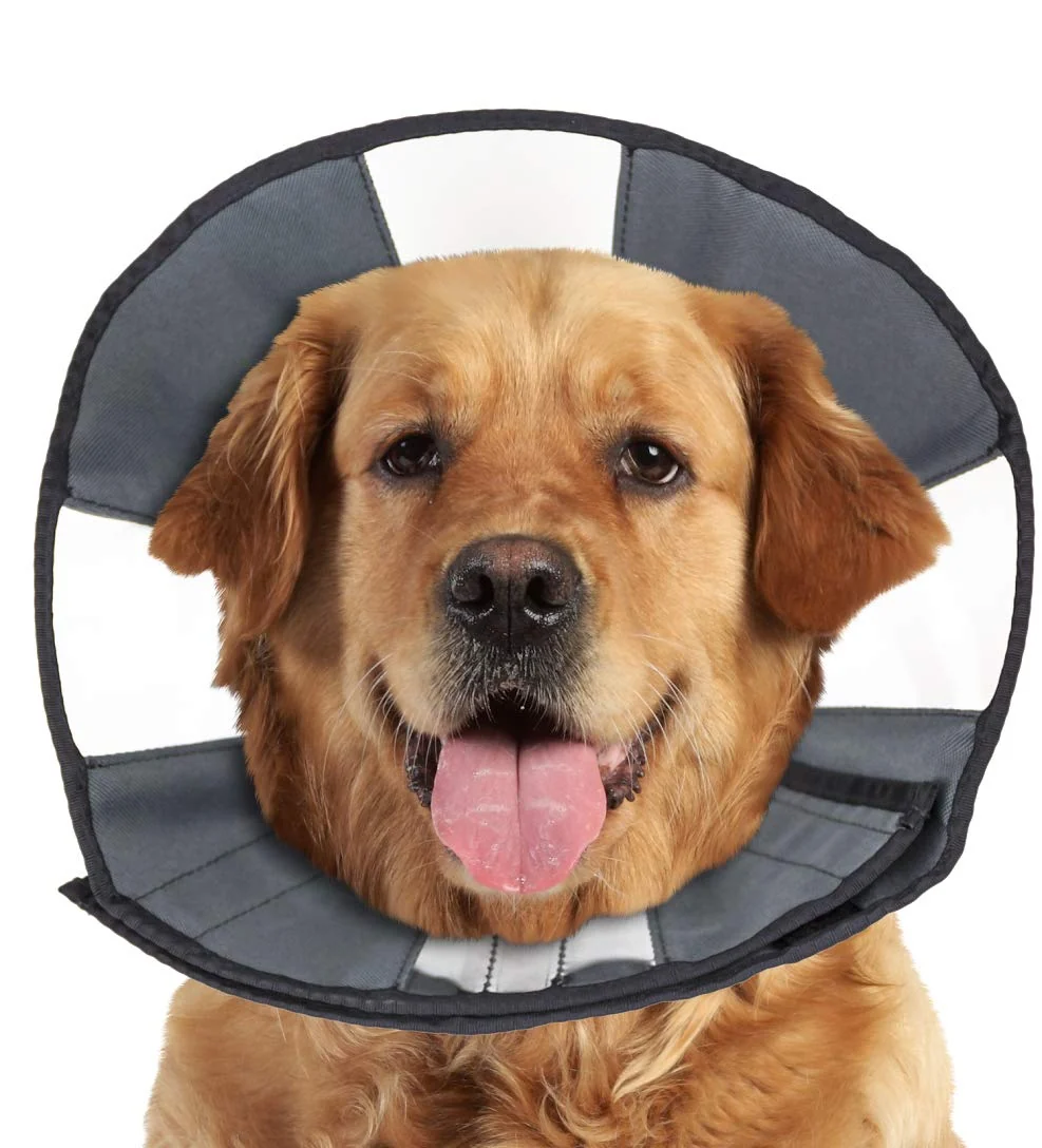 Premium ZenPet Recovery Cone E-Collar for Dogs Cats – Soft Adjustable Vet- X-Large Genuine