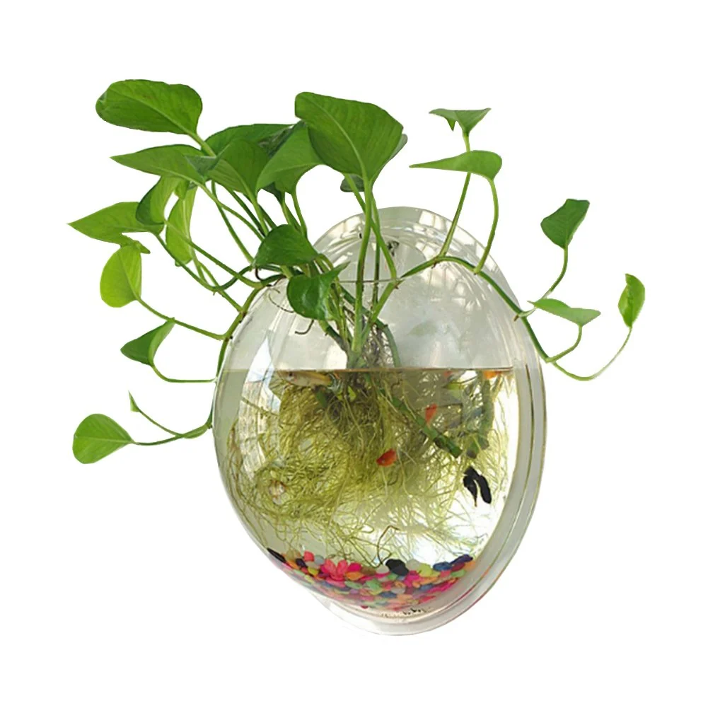 Certified Sweetsea Hanging Wall Mounted 1 Gallon Fish Tank Bowl – Clear Acrylic Wall Decor User-Friendly